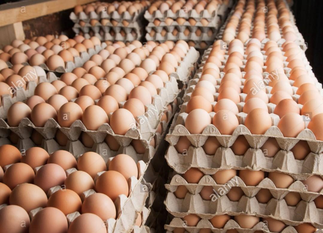 egg-prices-to-rise-after-lunar-new-year-leh-leo-radio-news