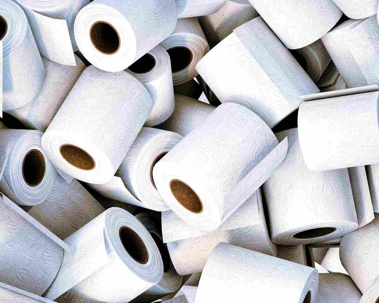 Toilet paper contains permanent chemicals. New study harmful to the human body Leh Leo Radio News
