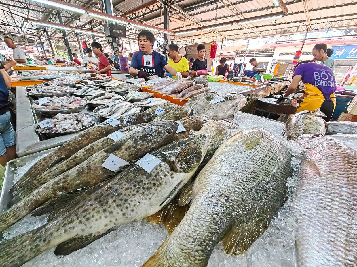 Grouper fish may be off the menu for now - Leh Leo Radio News